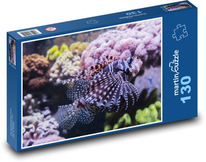 Squid - aquarium, fish - Puzzle 130 pieces, size 28.7x20 cm 