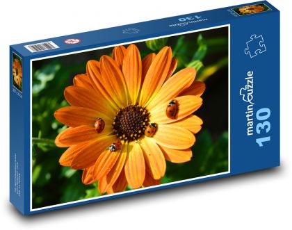 Gerbera - slunéčko sedmitečné, květ - Puzzle 130 dílků, rozměr 28,7x20 cm