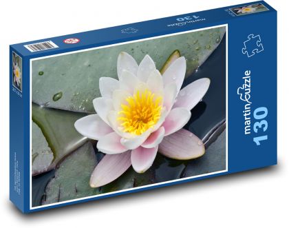 Bílý leknín - květ, rybník - Puzzle 130 dílků, rozměr 28,7x20 cm