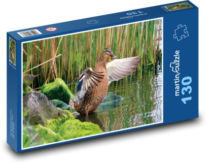 Duck - wild bird, water - Puzzle 130 pieces, size 28.7x20 cm 