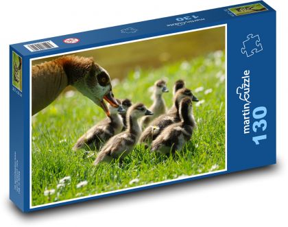 Geese - chicks - Puzzle 130 pieces, size 28.7x20 cm 