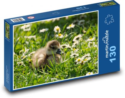 Krzyżówka - kaczątko - Puzzle 130 elementów, rozmiar 28,7x20 cm