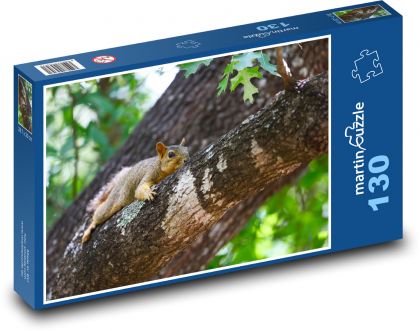 Eichhörnchen - Nagetier, Eiche - Puzzle - 130 Teile