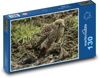Sokół - ptak drapieżny, natura - Puzzle 130 elementów, rozmiar 28,7x20 cm