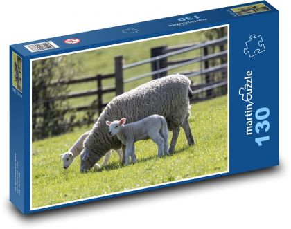 Sheep - lamb, animals - Puzzle 130 pieces, size 28.7x20 cm 