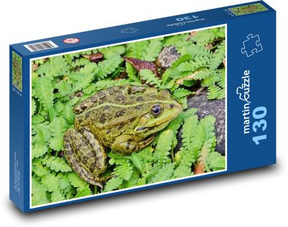 Žaba - zviera, obojživelník - Puzzle 130 dielikov, rozmer 28,7x20 cm 