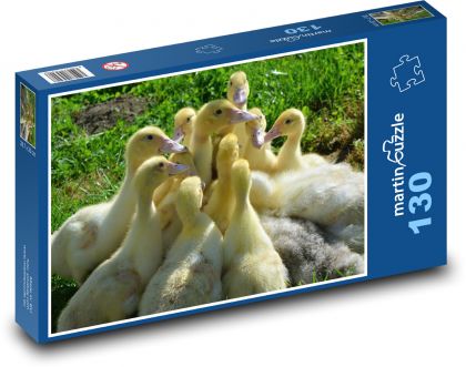 Kaczki - pisklęta, zwierzęta - Puzzle 130 elementów, rozmiar 28,7x20 cm
