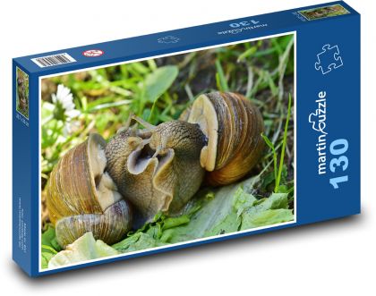 Snail - snail, animal - Puzzle 130 pieces, size 28.7x20 cm 