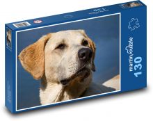 Dog - head, labrador Puzzle 130 pieces - 28.7 x 20 cm 
