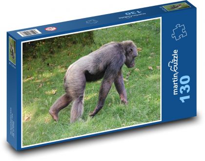 Monkey - chimpanzee, zoo - Puzzle 130 pieces, size 28.7x20 cm 