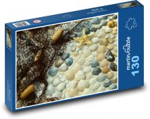 Krebstiere - Muscheln, Muscheln Puzzle 130 Teile - 28,7x20 cm