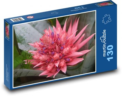 Bromelie - okrasná květina, rostlina - Puzzle 130 dílků, rozměr 28,7x20 cm