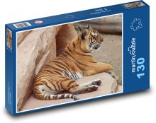 Tygrys - duży kot, drapieżnik Puzzle 130 elementów - 28,7x20 cm