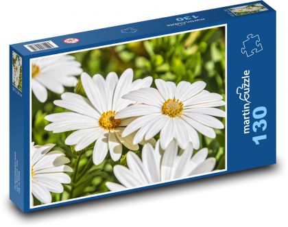 Płatki - stokrotka, kwiat - Puzzle 130 elementów, rozmiar 28,7x20 cm