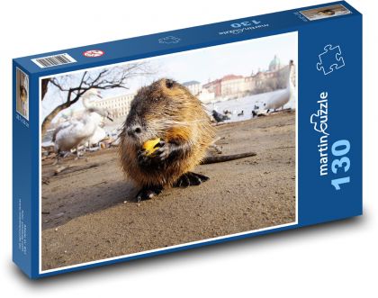 Hlodavec - zviera, nutrie - Puzzle 130 dielikov, rozmer 28,7x20 cm 