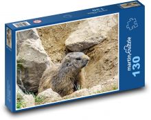 Alpy - Svišť - hlodavec Puzzle 130 dílků - 28,7 x 20 cm
