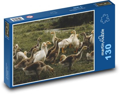 Kaczki - ptaki wodne - Puzzle 130 elementów, rozmiar 28,7x20 cm