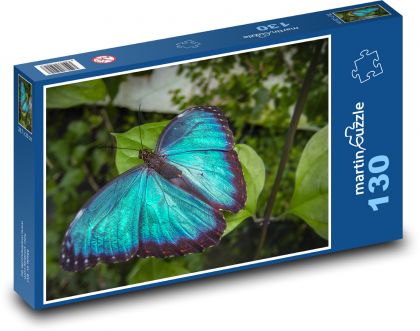 Modrý motýl - hmyz, rostlina - Puzzle 130 dílků, rozměr 28,7x20 cm