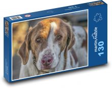 Lovecký pes - zvíře, domácí mazlíček Puzzle 130 dílků - 28,7 x 20 cm