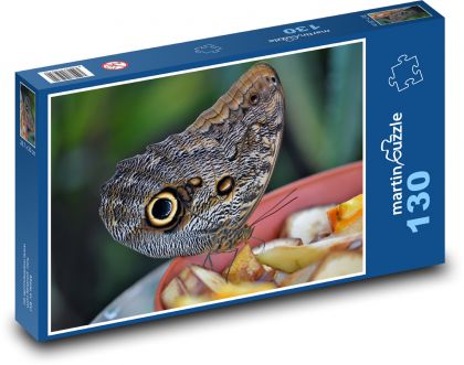Motýl - hmyz, entomologie  - puzzle 130 dílků