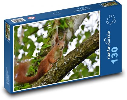 Veverička - strom, zviera - Puzzle 130 dielikov, rozmer 28,7x20 cm 