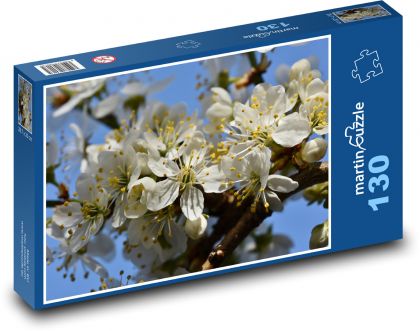 Pflaumenblüten - blühender Zweig, Pflaume - Puzzle - 130 Teile