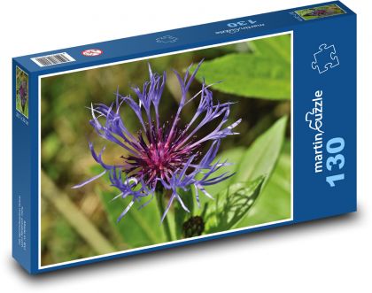 Cornflower - flower, plant - Puzzle 130 pieces, size 28.7x20 cm 