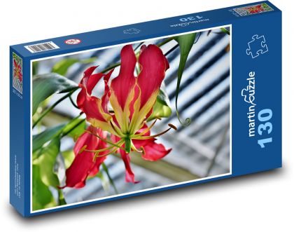 Květ - koruna slávy, rostlina - puzzle 130 dílků