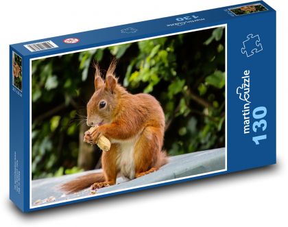 Tier, Nagetier - Eichhörnchen - Puzzle - 130 Teile