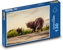 Kočky - západ slunce, zvířada Puzzle 130 dílků - 28,7 x 20 cm