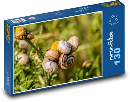 Schnecken - Weichtiere, Natur - Puzzle - 130 Teile