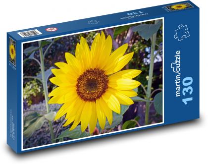 Slunečnice - květ, zahrada - Puzzle 130 dílků, rozměr 28,7x20 cm