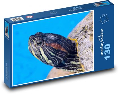 Želva - plaz, vodní živočich - Puzzle 130 dílků, rozměr 28,7x20 cm