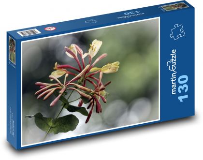 Zimolez - květina, rostlina - puzzle 130 dílků