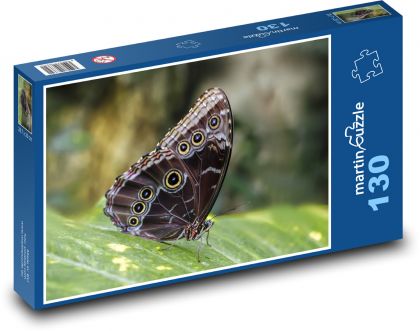 Motýl - křídla, entomologie - puzzle 130 dílků