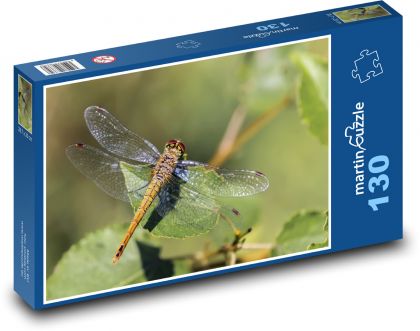 Ważka - owad, skrzydła - Puzzle 130 elementów, rozmiar 28,7x20 cm