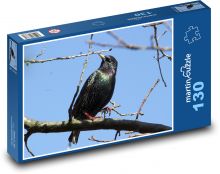 Špaček - vták, vetva Puzzle 130 dielikov - 28,7 x 20 cm 
