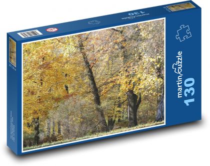 Podzimní les - stromy, park - Puzzle 130 dílků, rozměr 28,7x20 cm