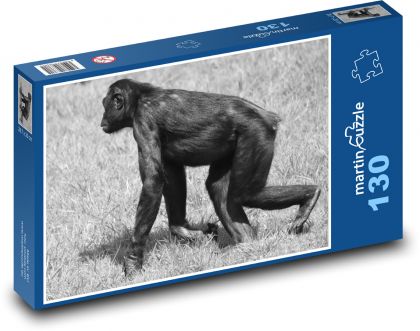 Monkey - animal, mammal - Puzzle 130 pieces, size 28.7x20 cm 