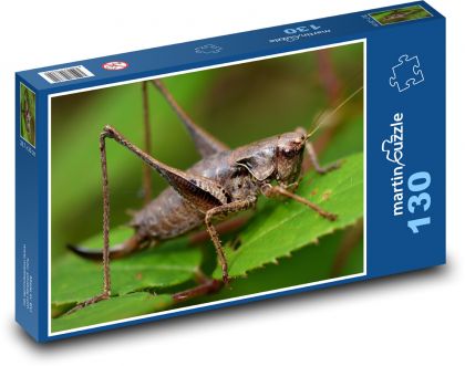 Saranče - hmyz, příroda - Puzzle 130 dílků, rozměr 28,7x20 cm