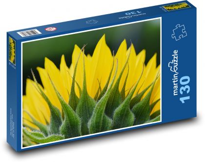 Slunečnice - květ, rostlina - Puzzle 130 dílků, rozměr 28,7x20 cm