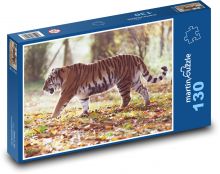 Amur tiger - animal, hunter Puzzle 130 pieces - 28.7 x 20 cm 