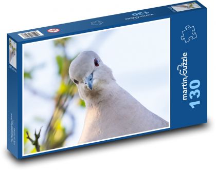 Obojkový holub - holubica, vták - Puzzle 130 dielikov, rozmer 28,7x20 cm 