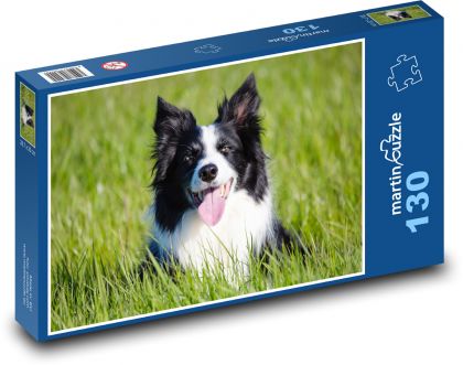 Border collie - dog, shepherd - Puzzle 130 pieces, size 28.7x20 cm 