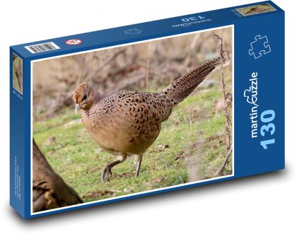 Chicken pheasant - bird, animal - Puzzle 130 pieces, size 28.7x20 cm 