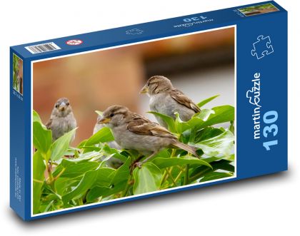 Vrabec - pták, zobák - Puzzle 130 dílků, rozměr 28,7x20 cm