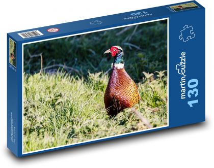 Pheasant - bird, hunting - Puzzle 130 pieces, size 28.7x20 cm 