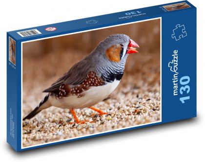 Zebrička pestrá - vták, zobák - Puzzle 130 dielikov, rozmer 28,7x20 cm 