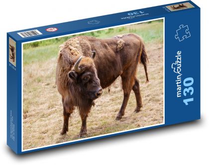 Buffalo - animal, mammal - Puzzle 130 pieces, size 28.7x20 cm 