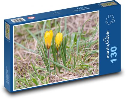 Żółte krokusy - rośliny, kwiaty - Puzzle 130 elementów, rozmiar 28,7x20 cm